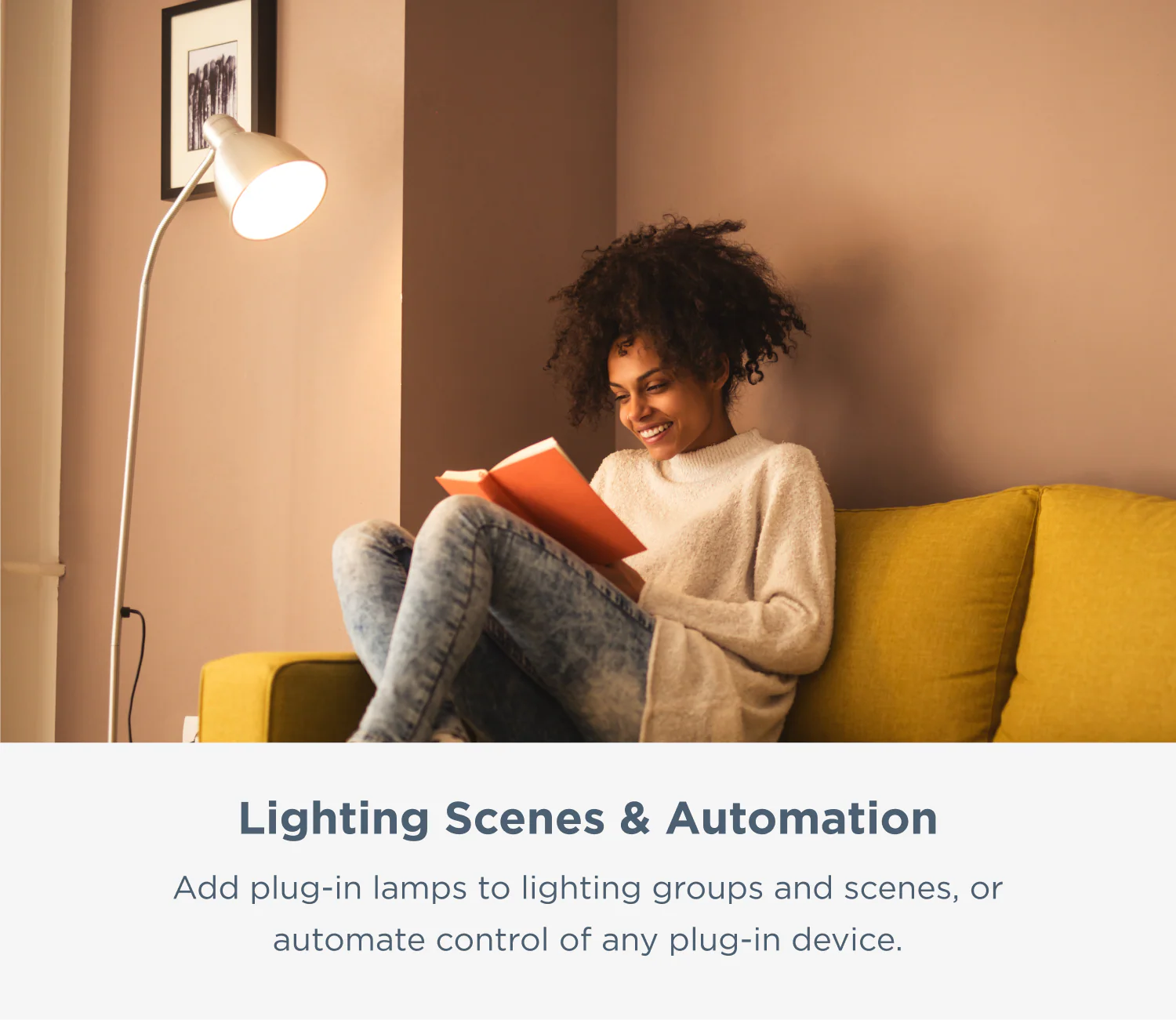 Brilliant Smart Plug - Image 6